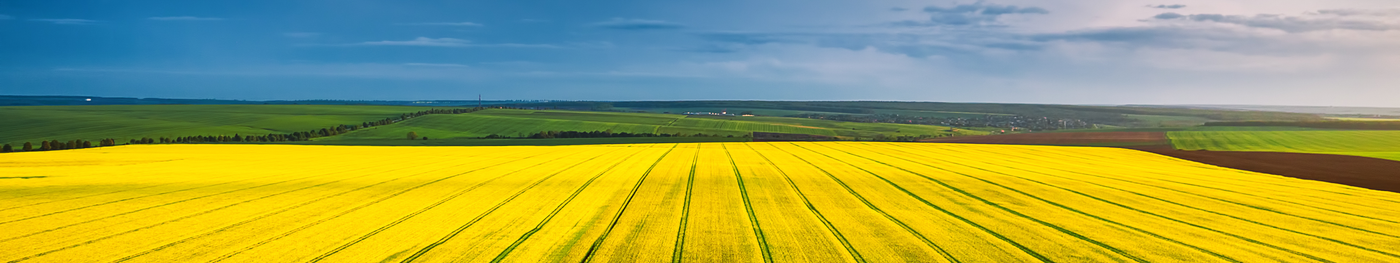Landwirtschaftliches Feld als Symbol für gewerbliche Betriebe
