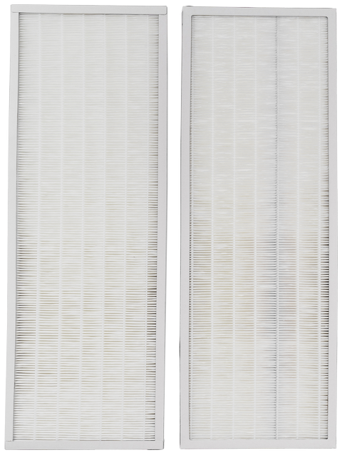 Wolf Pollenfilter-Set ePM1 50% für CWL Modelle