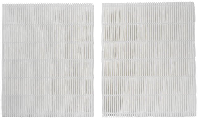 Wolf Pollenfilter-Set ePM1 50% für CWL Modelle