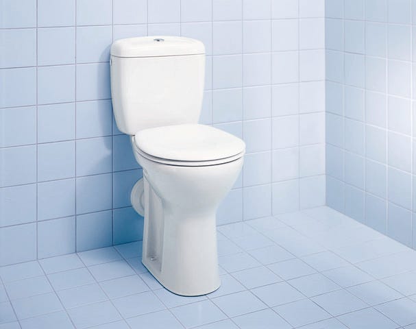 DU WC-Sitz ohne Absenkautomatik Scharniere edelstahl, weiß