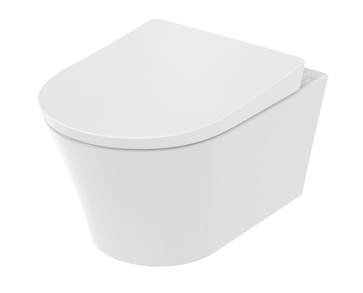 WC-Sitz GP, NC, RP mit Absenkautomatik, Edelstahlscharnieren, abnehmbar, weiß, Befestigung von oben