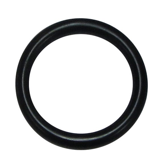 O-Ring 25x4mm