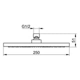 KEUCO Armaturenzubehör Kopfbrause rund Chrom-finish mit Antikalk-System und 15 l/min Durchflussbegrenzung