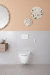 Geberit AquaClean Alba WC-Komplettanlage Wand-WC: WC-Keramik: weiß / KeraTect, Designabdeckung: weiß
