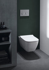 Geberit Sigma20 Betätigungsplatte für 2-Mengen-Spülung, Round