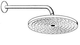 hansgrohe Raindance S Kopfbrause 240 1jet mit Brausearm, Chrom