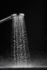 hansgrohe Brauseset