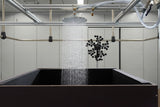 hansgrohe Raindance S Kopfbrause 240 1jet mit Brausearm, Chrom