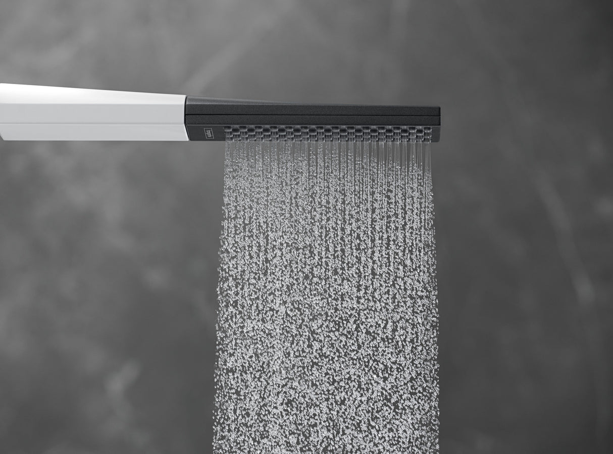 hansgrohe Rainfinity Stabhandbrause 100 1jet