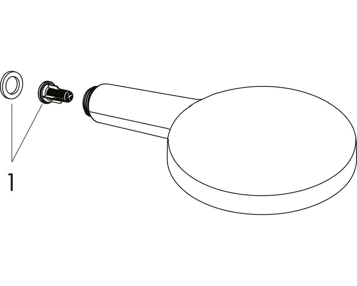 hansgrohe Raindance Select S Handbrause 120 3jet