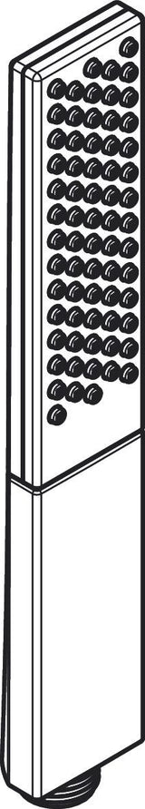 hansgrohe Rainfinity Stabhandbrause 100 1jet