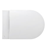 LAUFEN Tiefspül-WC wandhängend LAUFEN PRO 530x360 spülrandlos mit verdeckter Befestigung LCC weiß