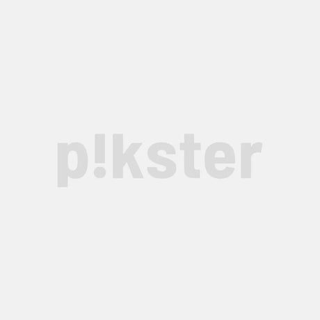 WASHLET® RW Dusch-WC silber, mit Fernbedienung, EWATER+